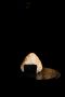IMG-0020 O.jpeg